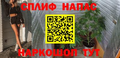 гидра Усть-Джегута