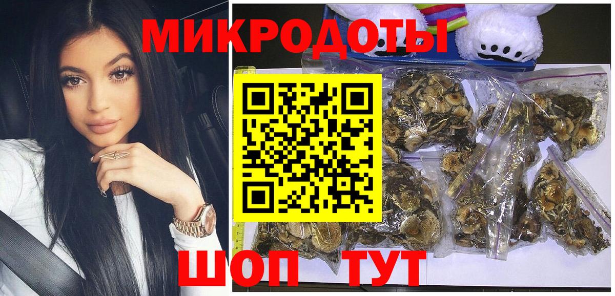 Галлюциногенные грибы Cubensis Белореченск