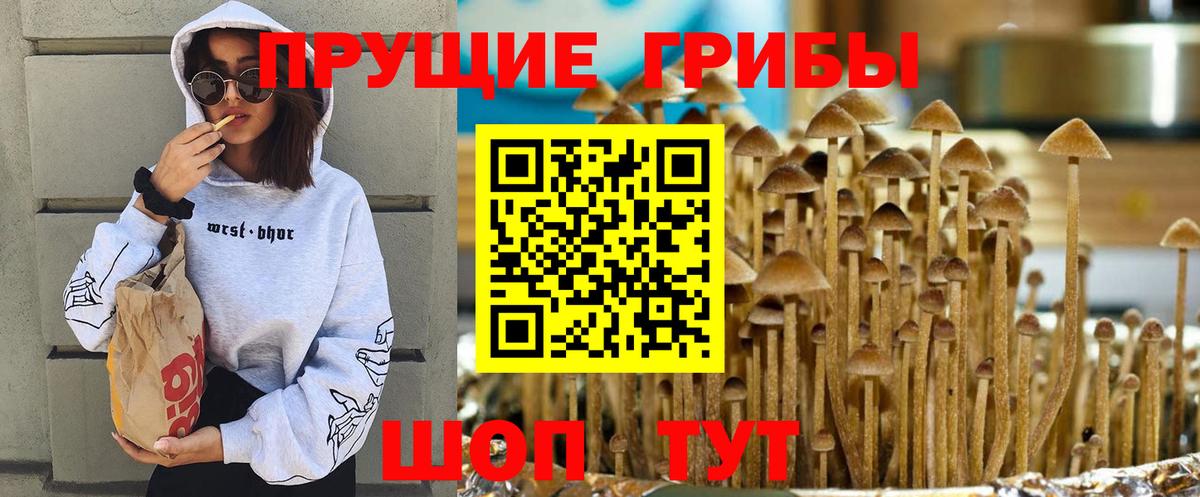 Белореченск  Галлюциногенные грибы прущие грибы  Вход с VPN 